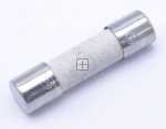 Ceramic Fuse - 4055252029 Fuse [Electrolux Aeg]