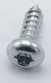 Hisense Gorenje Screw - 247998 Screw Rts St 4 2x13 Fzb T20